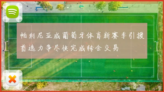 帕利尼亚成葡萄牙体育新赛季引援首选力争尽快完成转会交易